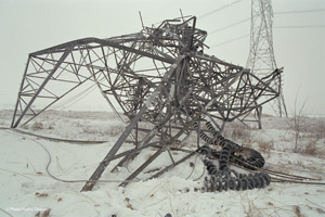 The description of this image is not available