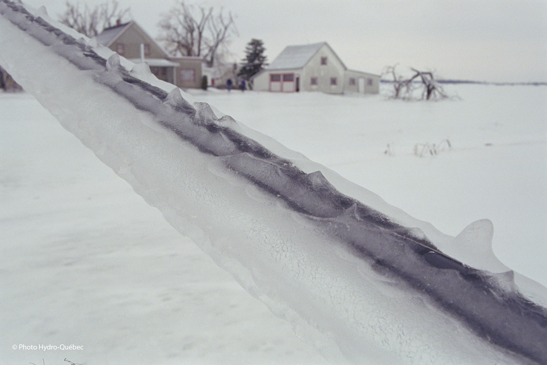 The description of this image is not available