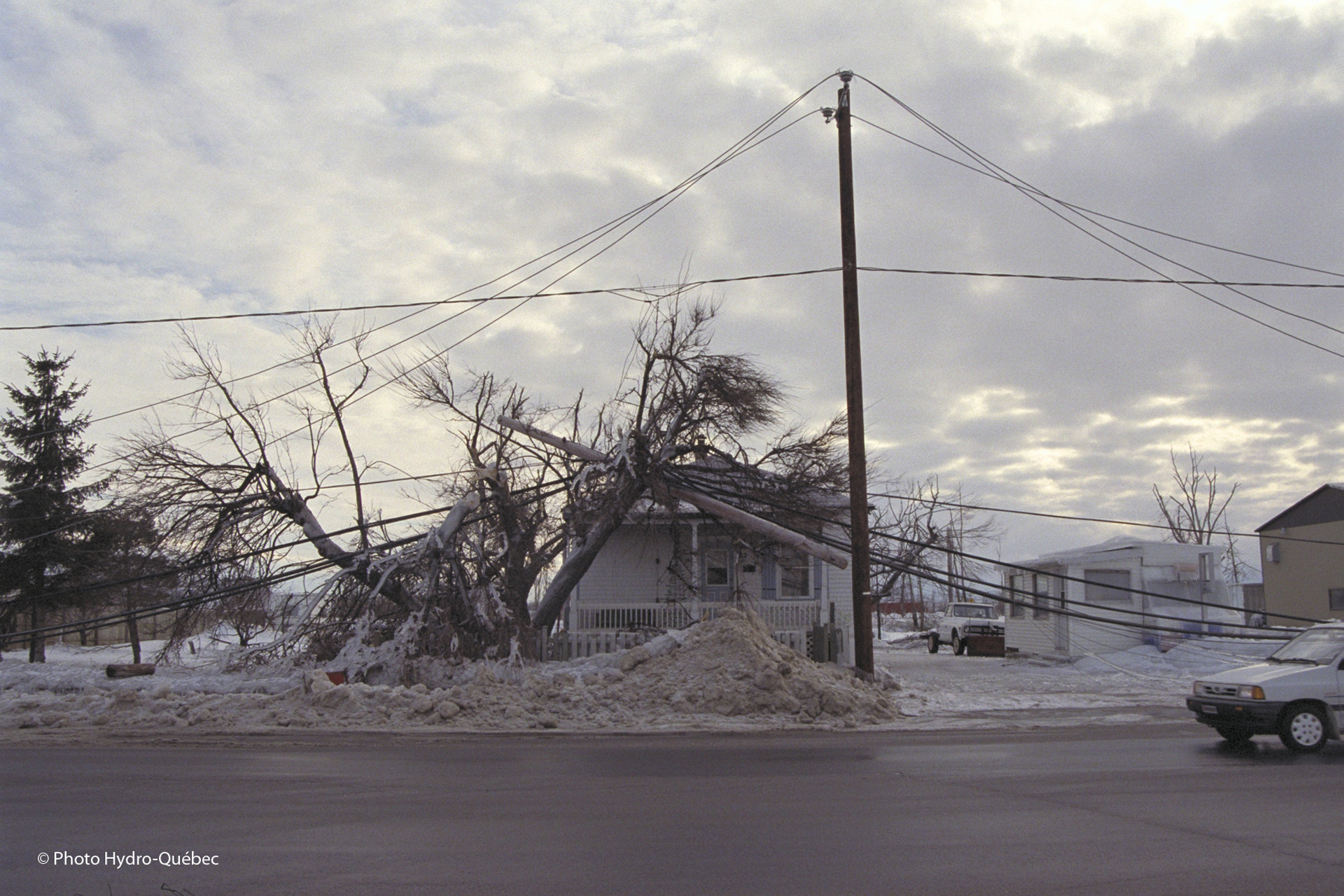 The description of this image is not available