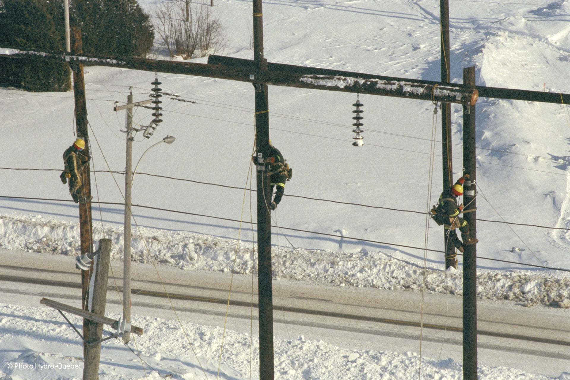 The description of this image is not available