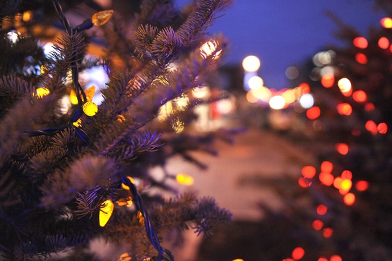 Arbre de Noël
