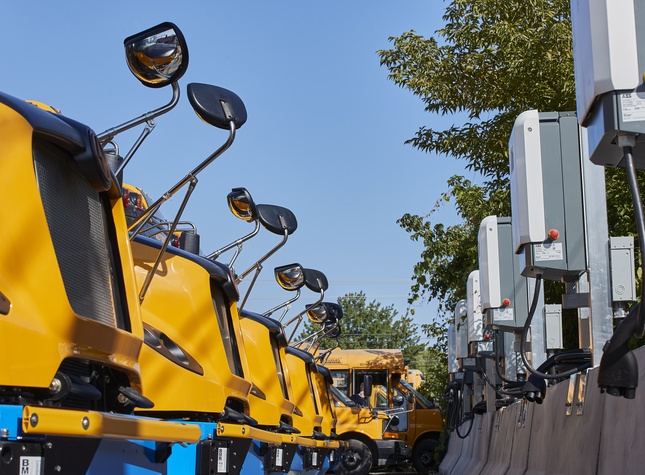 Description of this image is not available