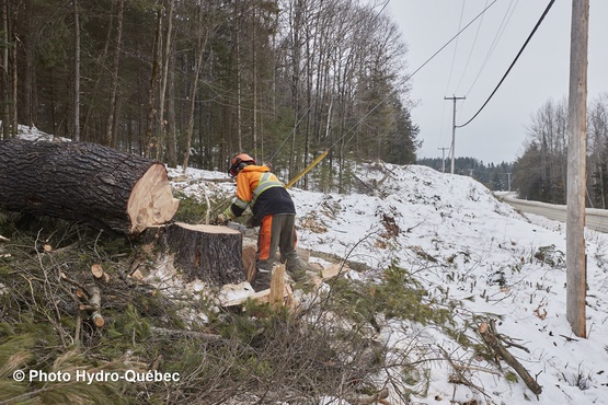 The description of this image is not available