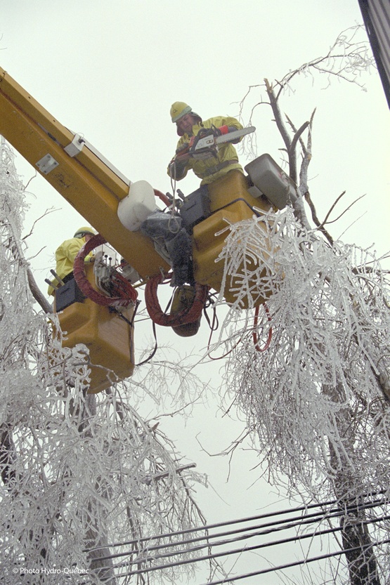 The description of this image is not available