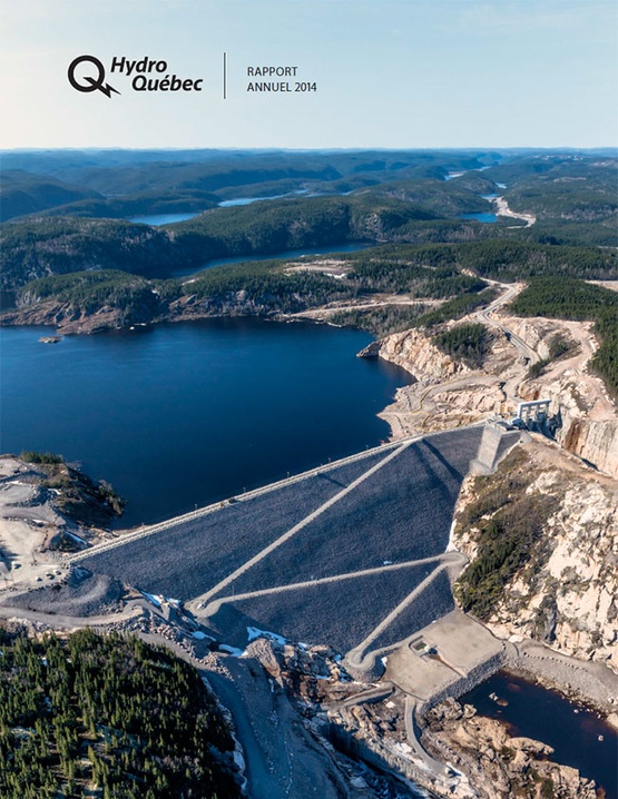 Rapport annuel 2014