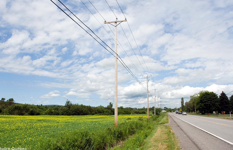 Overhead distribution line in a rural area