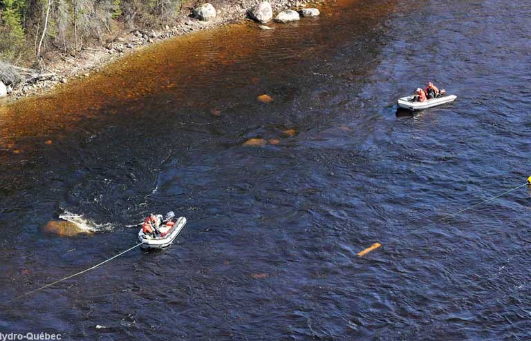 Monitoring the fish spawning process on the Rivière Rupert